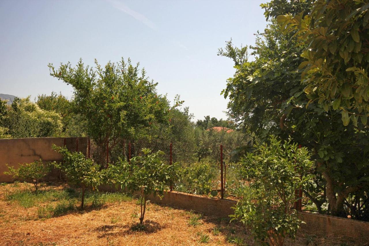 Apartments And Rooms With Parking Space Orebic, Peljesac - 10191 المظهر الخارجي الصورة