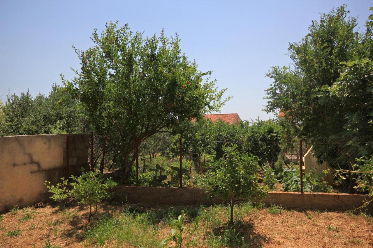 Apartments And Rooms With Parking Space Orebic, Peljesac - 10191 المظهر الخارجي الصورة